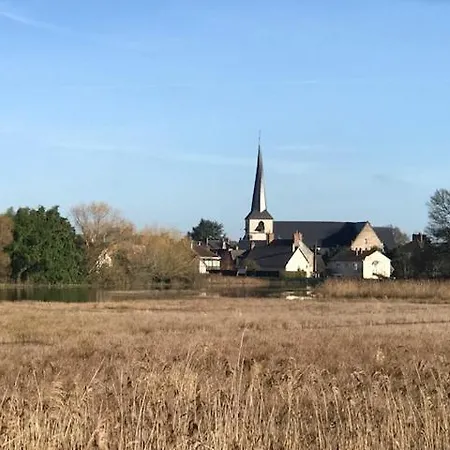 Sologne Des Etangs - Bontens Saint-Viâtre Exterior foto