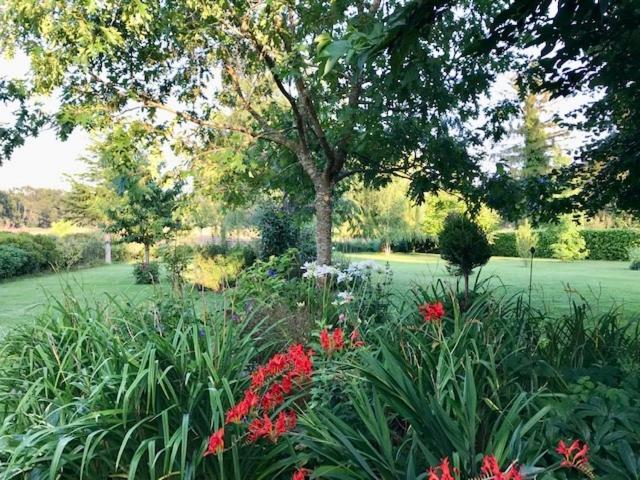 Sologne Des Etangs - Bontens *